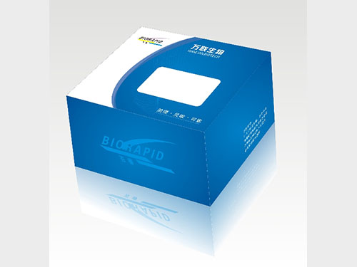 包裝盒、彩盒3